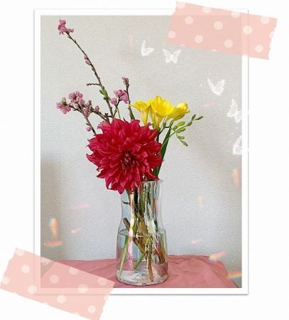 DAISO “オーロラ” カラーのフラワーベース＆雛祭り当日のアレこれ話し