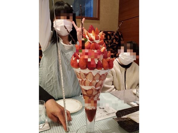 宇都宮 栃木県最大級のいちごパフェ いちごツリー を カフェレストラン オアシス さんで食べてきました リビング栃木web 宇都宮 栃木県最大級のいちごパフェ いちごツリー を カフェレストラン オアシス さんで食べてきました リビング栃木web