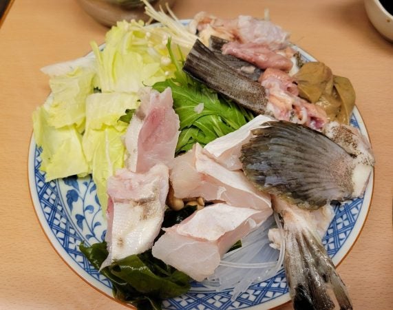 紀州串本天然の本クエ鍋コース 阿倍野 寿し割烹 魚市 アポロ本店 居酒屋 リビング大阪web