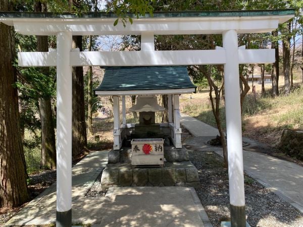 箱根 九頭龍神社で龍神写真！？見れば縁結び、金運、開運ご利益の