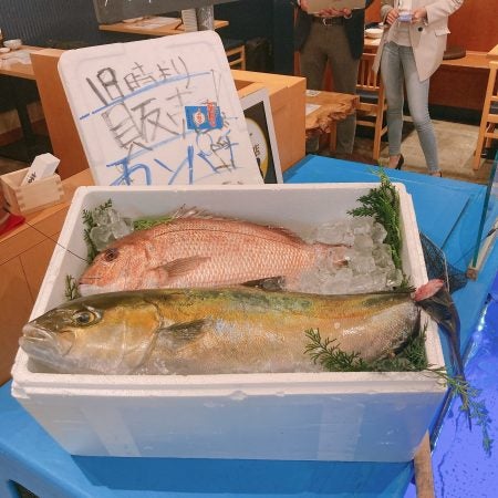 日本橋 都会にいながら新鮮な釣り魚をリーズナブルに 釣宿酒場 マヅメ 居酒屋 リビング東京web