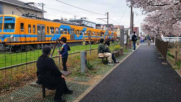 流山】電車×サクラの春さんぽ☆流鉄流山線 | リビングかしわWeb 流山】電車×サクラの春さんぽ☆流鉄流山線 | リビングかしわWeb