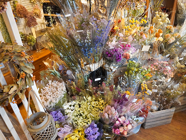 花に癒されるドライフラワー専門店oak House オークハウス あけぼの リビングかしわweb