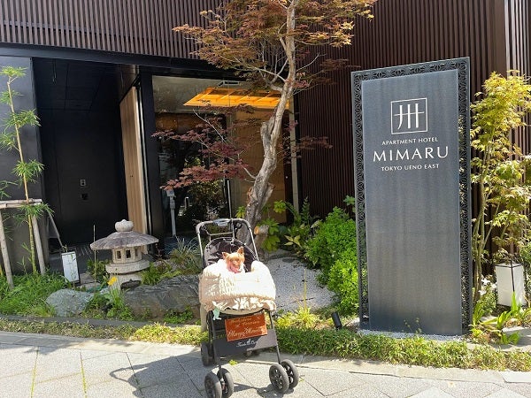 上野 アパートメントホテルmimaru ミマル の ポケモンルーム 大公開 リビング東京web