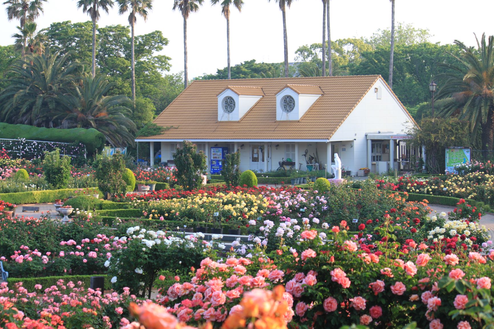 バーバラ VIPCARでパラパラ 🎵POISON(Tune Up！Mix)/Groove Coverage 29日は仙台