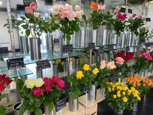 宮城県内最大級のバラ農園直売所でバラを買ってみた【名取 梶農園