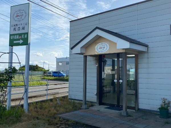 宮城県内最大級のバラ農園直売所でバラを買ってみた 名取 梶農園 リビング仙台web