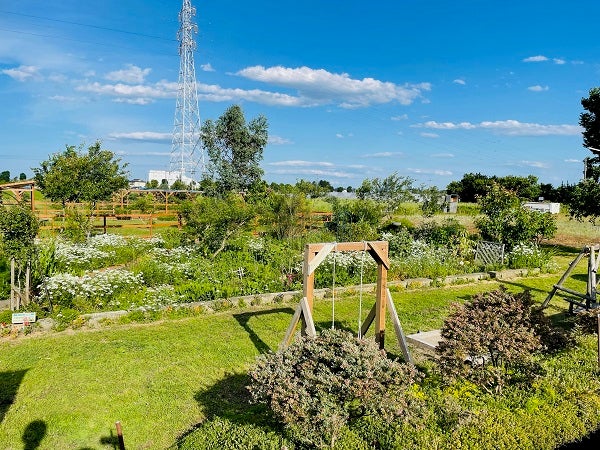 宇都宮】ハーブの時期が到来！「H&M Garden」で癒やしのひとときを