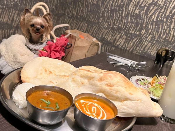 アナム本格インド料理 銀座店 の個室で愛犬とカレーランチ リビング東京web