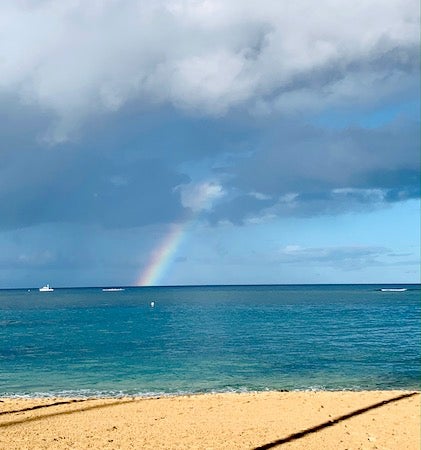 最終回 ハワイが持つ本当の魅力 From Hawaii リビング東京web 最終回 ハワイが持つ本当の魅力 From Hawaii リビング東京web