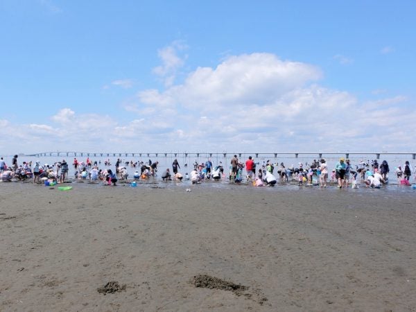 埼玉から約2時間 ホテル三日月 潮干狩りプランで貝をたんまり採って来た リビング埼玉web 埼玉から約2時間 ホテル三日月 潮干狩りプランで貝をたんまり採って来た リビング埼玉web