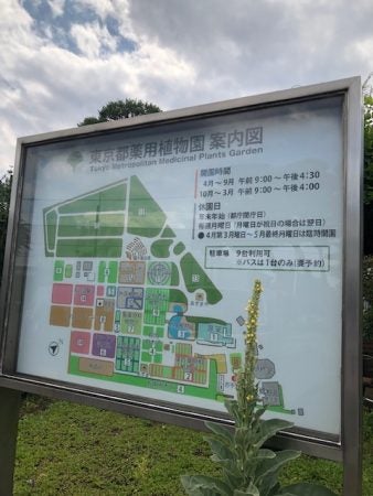 小平 穴場スポットかも 無料で楽しめる 東京都薬用植物園 リビング多摩web
