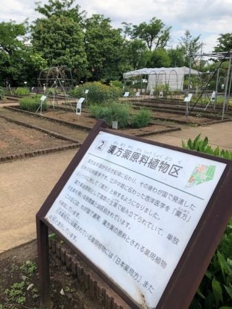 小平 穴場スポットかも 無料で楽しめる 東京都薬用植物園 リビング多摩web