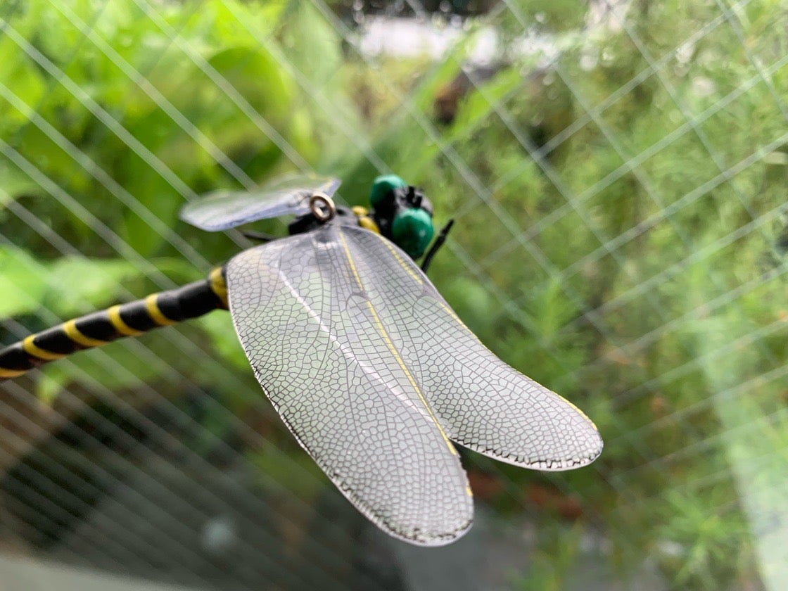 あまりにも見た目が最強 虫撃退のオニヤンマくん 私が撃退されそー リビングメイト 家事 美味しいものでつながりたい リビングメイト リビングくらしナビ