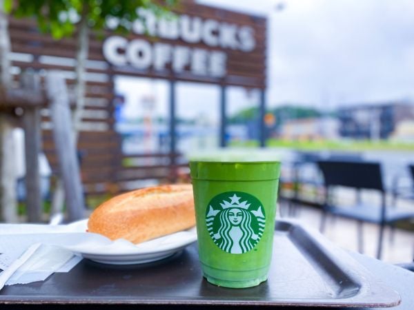食品サンプル　スターバックスラテ　抹茶ラテ　セット 日本ならではのフレーバーとして訪日外国人にも大人気厳選した抹茶を