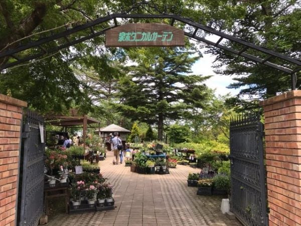 癒やしのローズガーデン 6月日曜はバラフェアも 泉ボタニカルガーデン リビング仙台web
