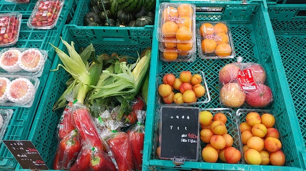 【北海道☆お野菜屋さん】ワンデル 3本 カンデル 4袋 オンラインショップ/こだわりのサービス - 北海道産羊・野菜