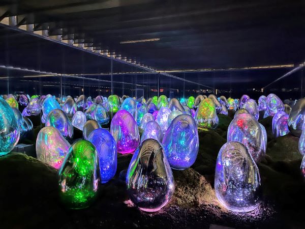 チームラボ豊洲 夏限定で ひまわり の作品空間が登場 そして自宅でまたランが咲きました リビング東京web