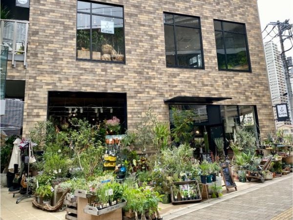 柏の葉の Grun グリューン は100 植物由来のスムージーと700種の観葉植物が魅力 リビングかしわweb