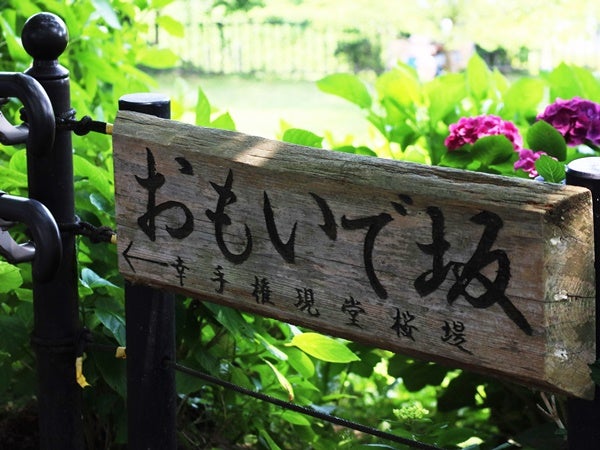 幸手権現堂 あじさい祭り 色とりどりの紫陽花とアナベルの白い絨毯 今年の見頃は リビング埼玉web 幸手権現堂 あじさい祭り 色とりどりの紫陽花とアナベルの白い絨毯 今年の見頃は リビング埼玉web