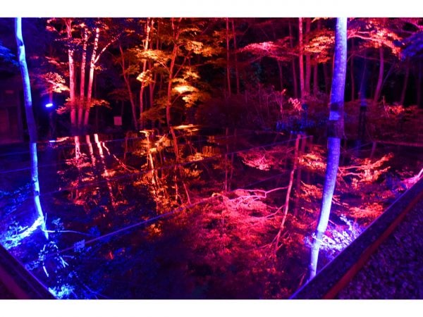 山形県朝日町】この夏行きたい！空気神社ライトアップと朝日町ワイン城