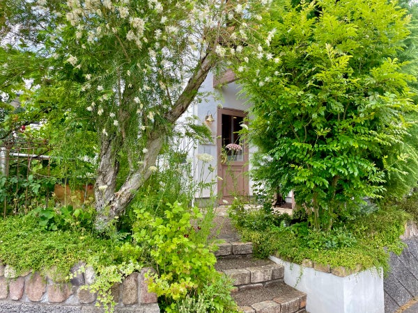 東広島市 閑静な住宅街にちょこんと佇む 素敵なお庭に囲まれたケーキ屋さん Sucre シュクレ リビング広島web