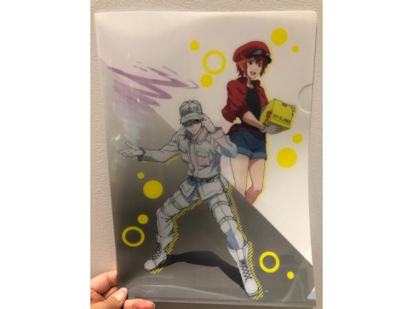 スペースｌａｂｏ北九州 はたらく細胞展 乳酸菌とめぐる大冒険 リビングふくおか 北九州web