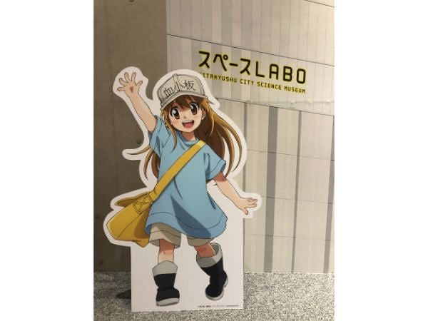 スペースｌａｂｏ北九州 はたらく細胞展 乳酸菌とめぐる大冒険 リビングふくおか 北九州web
