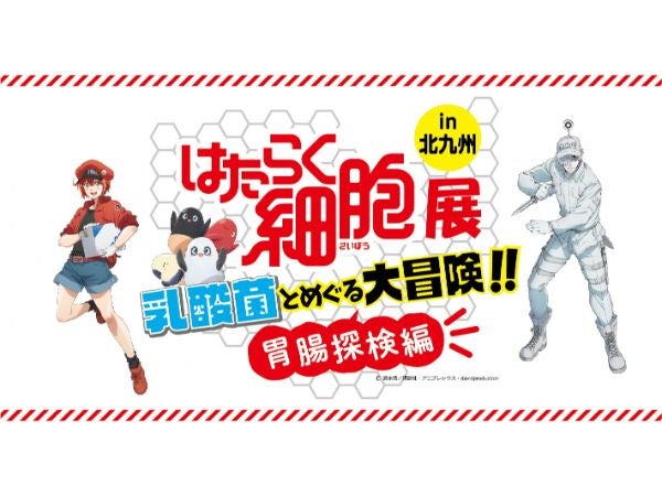 スペースｌａｂｏ北九州 はたらく細胞展 乳酸菌とめぐる大冒険 リビングふくおか 北九州web