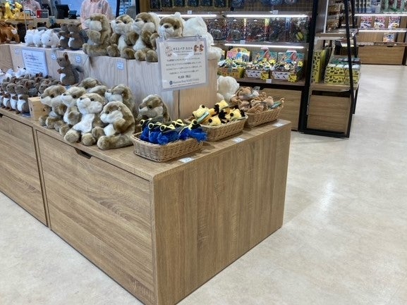 円山動物園に7 15 Open 土産物店 ミュージアム ショップ 円山 まるやま リビング札幌web