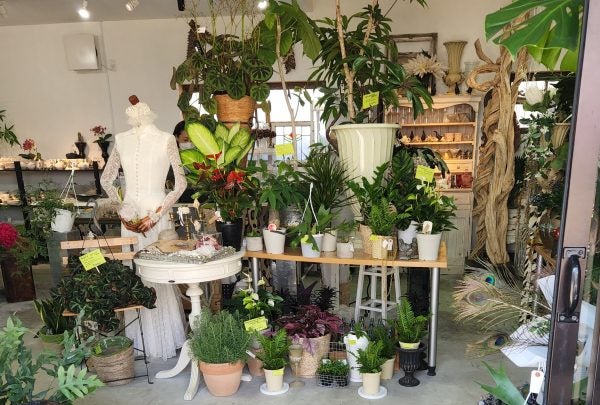 松葉町 6月1日openしたて Florist S杏 フローリストアンズ リビングかしわweb
