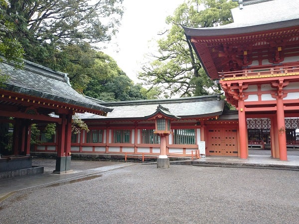 大宮 関東屈指のパワースポット 氷川神社 蛇の池 って知ってる リビング埼玉web