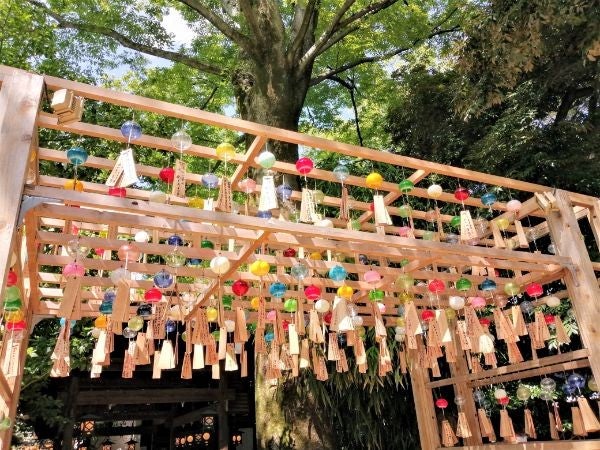 川越】風が願いを運んでくれる川越氷川神社の「縁むすび風鈴」 | リビング埼玉Web