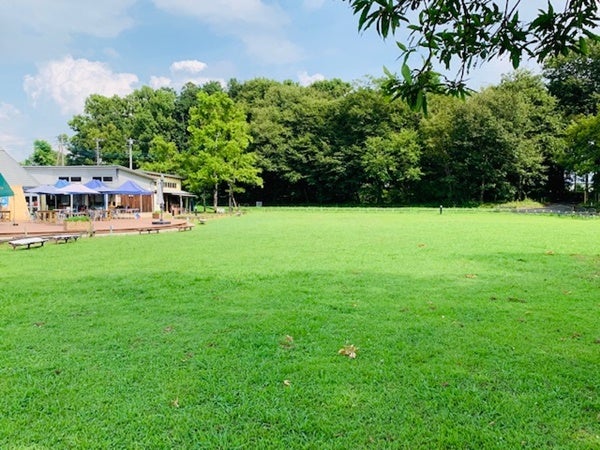 穴場 東武動物公園の隣に里山風景 体験型観光施設 新しい村 宮代町 リビング埼玉web