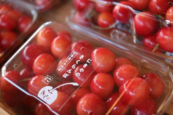 仁木町「にきや」のさくらんぼが円山で限定販売！ | リビング札幌Web