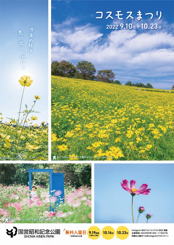 立川 昭島 9 10 土 から国営昭和記念公園で コスモスまつり22 開催 リビング多摩web
