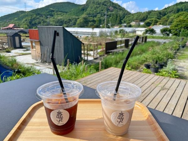 設楽町 名古屋から約75分 高原の花屋 カフェと農園レストランでリフレッシュ リビング名古屋web