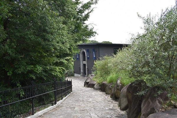 飯能 異国情緒漂うアラビアンレストラン カールヴァーン ブルワリー レストラン を子連れ目線でレポート リビング埼玉web