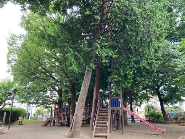 夏の穴場 木に覆われて暑い日も涼しい八幡町公園 武蔵野市 リビングむさしのweb