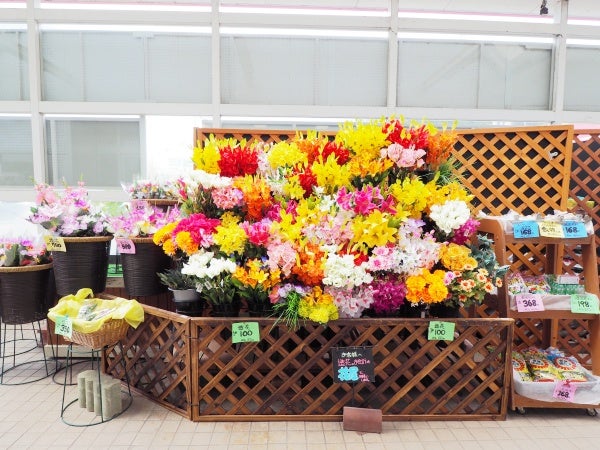 御船】お花のある暮らしが叶う♪気軽に立ち寄れるお花屋さん 花ぽっけ