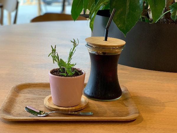 堺 観葉植物 Cafe ザ スープ グリーンアンドカフェ リビング大阪web