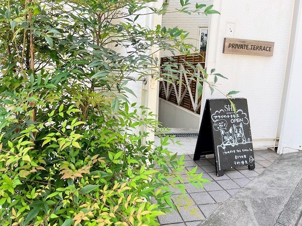 目黒 She Meguro シーメグロ のbotanova ボタノバ を使ったヴィーガンコースメニューの美味しさに驚き リビング東京web