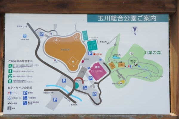 【今治】森林浴をしながらロング滑り台!!玉川総合公園 | リビングえひめWeb