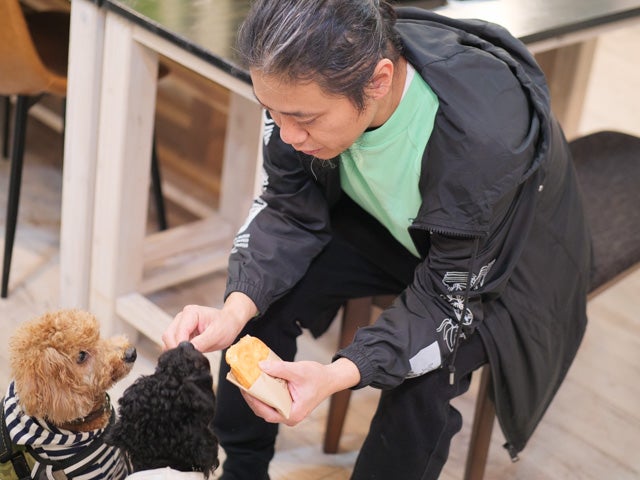 生の松原 愛犬家必見 わんこフレンドリーなドッグカフェに行ってきたよ リビングふくおか 北九州web
