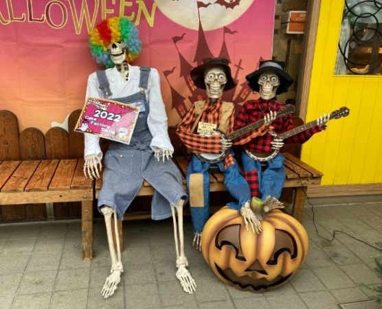 ハロウィンバンジョー骸骨2体