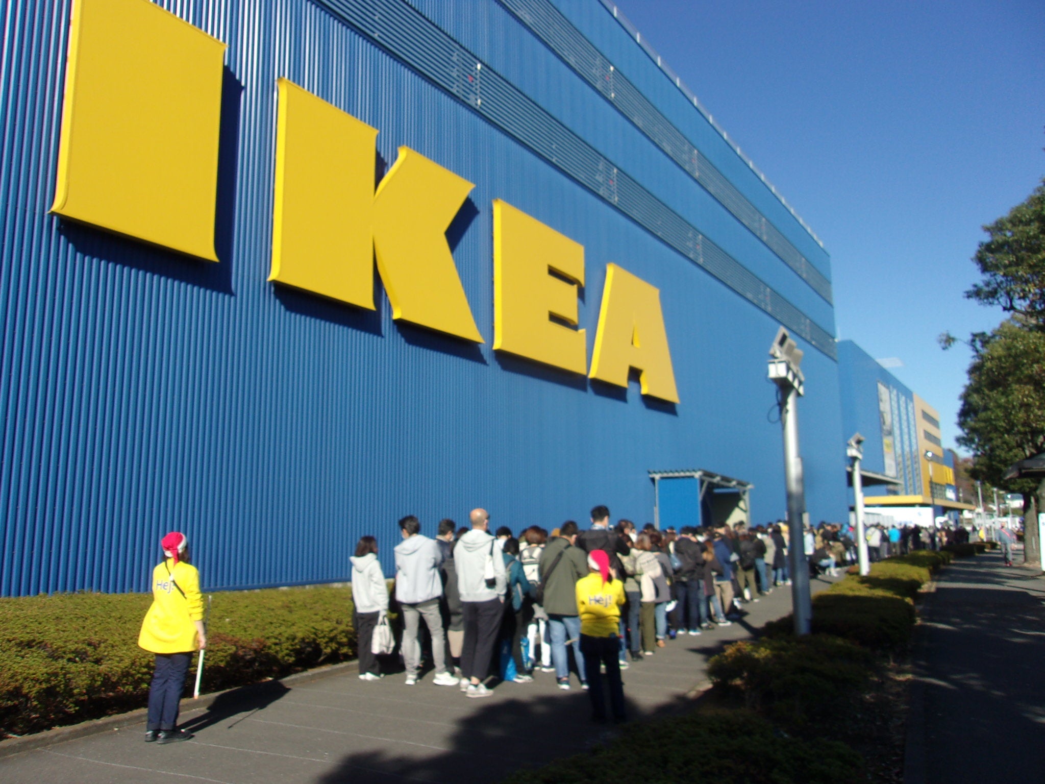 IKEA港北で本物のモミの木を販売 おうちクリスマスを楽しく！ | リビング田園都市Web