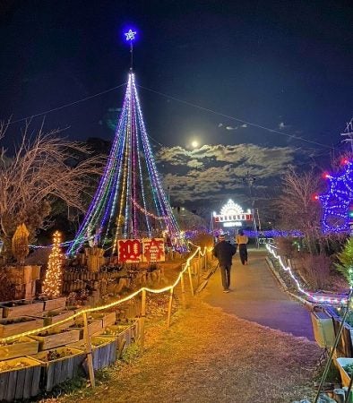 三田、三木、宝塚ほか】今週末のおでかけ＆デートに☆イルミネーション