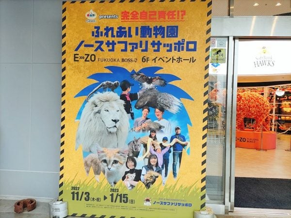 地行浜】ホワイトライオンに餌やりも！家族で楽しむ可愛い動物とレア体験 | リビングふくおか・北九州Web