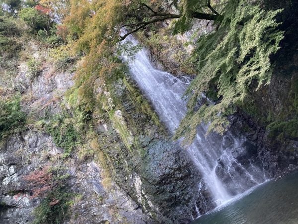 【箕面】箕面公園の紅葉が見頃！日本の滝100選「箕面大滝」と滝道も大満喫