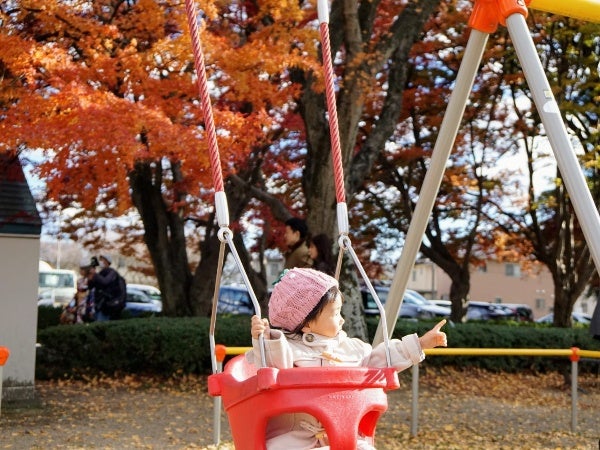 那須塩原市 穴場の紅葉スポット もみじに囲まれた 大山公園 リビング栃木web